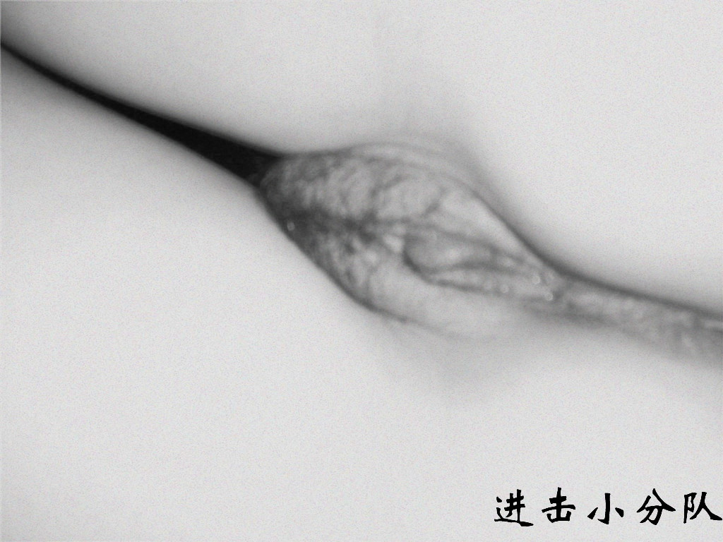 母狗欢欢-2，镣铐母狗，黑白处理