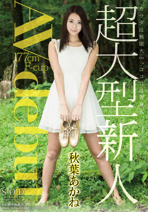 秋葉あかね(秋叶茜)