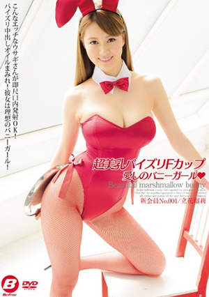 立花瑠莉作品封面 立花瑠莉作品封面