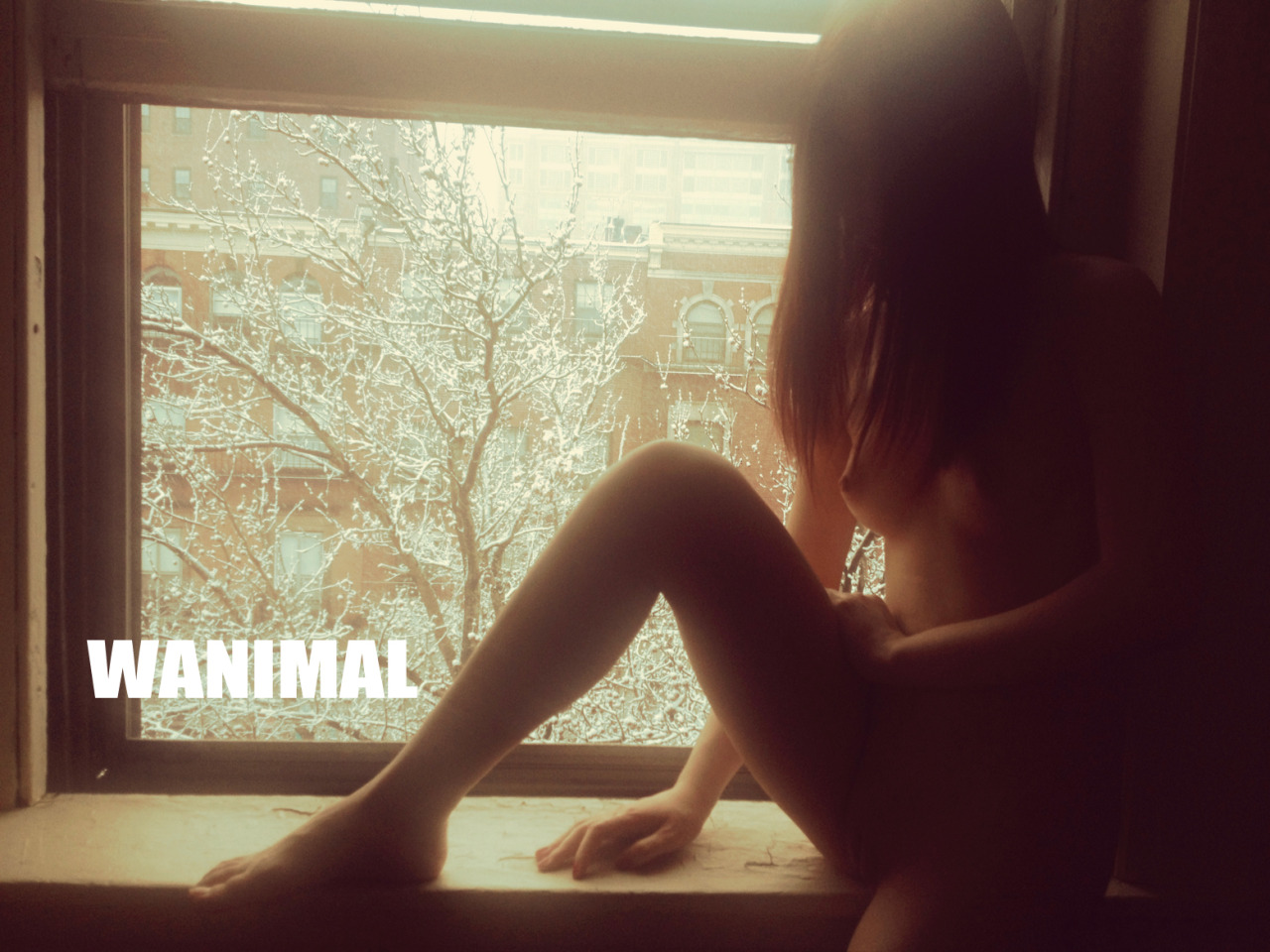 [WANIMAL王动] 2014年 作品 [50P]第二期