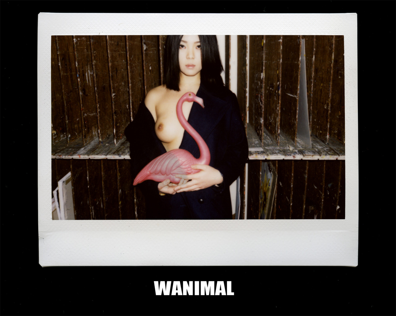 [WANIMAL王动] 2014年 作品 [50P]第二期