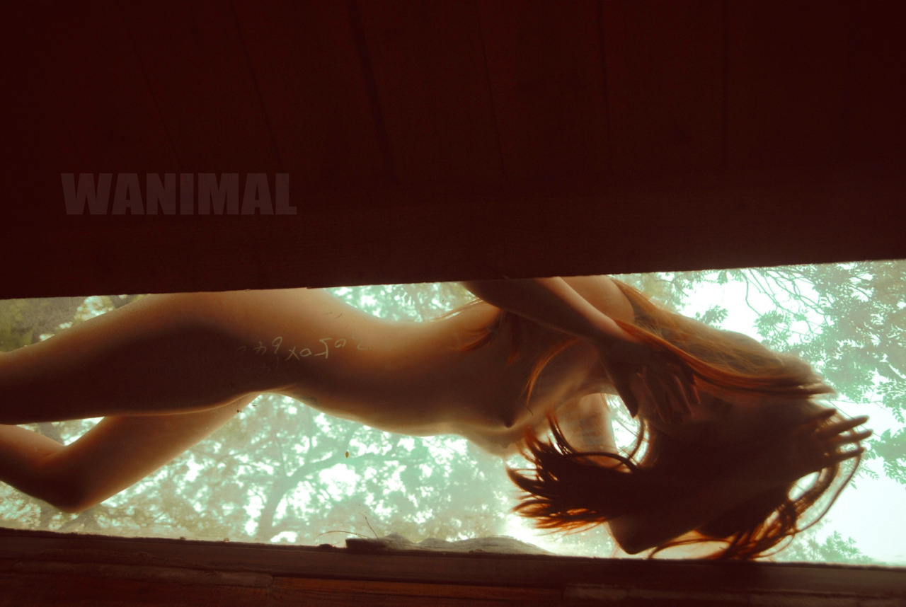 [WANIMAL王动] 2014年 作品[50P]第四期