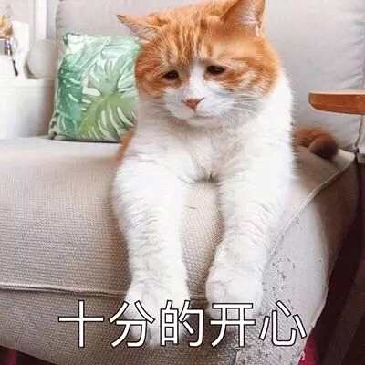 开着保时捷，住上海市中心，范湉湉还自称是穷人