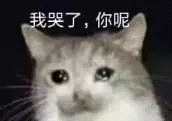 开着保时捷，住上海市中心，范湉湉还自称是穷人