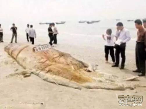 十大神秘生物，有一种中国人都知道！