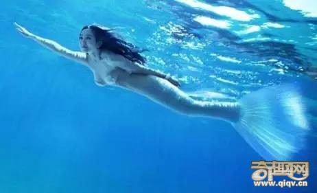 揭秘美人鱼之谜 美人鱼到底是什么生物？