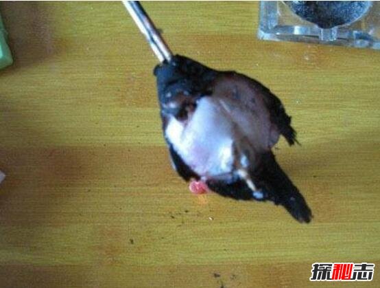 天涯曝光虐鱼女图片，女子直播烧烤金鱼给男友吃