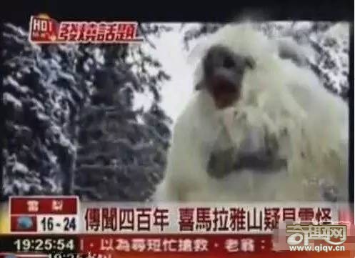 十大神秘生物，有一种中国人都知道！