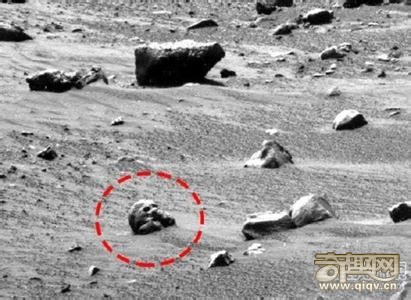 火星发现头骨,比人类头骨大五倍?