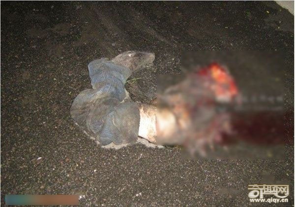 车祸导致3人分尸，玉丝美女袒露惨死