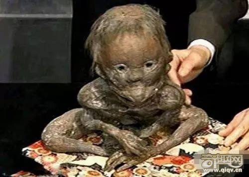 十大神秘生物，有一种中国人都知道！