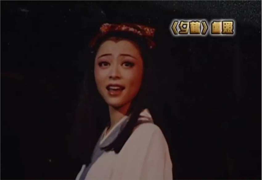 学术--为什么张静初没能成为章子怡？