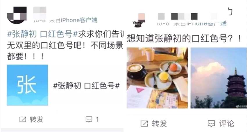 学术--为什么张静初没能成为章子怡？