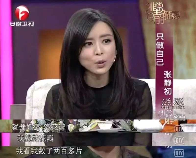 学术--为什么张静初没能成为章子怡？