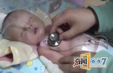 狗突然跑出家，在路边树底下刨地令人心痛