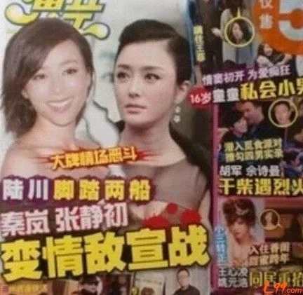学术--为什么张静初没能成为章子怡？