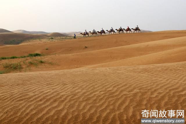 中国有两座世界最高峰，一座在西藏，另一座就在哪里-