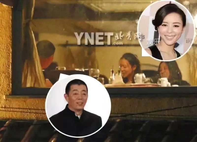 学术--为什么张静初没能成为章子怡？