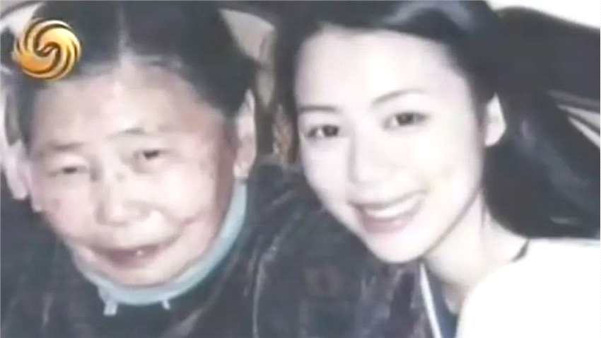 学术--为什么张静初没能成为章子怡？