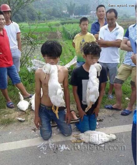 广西两少年偷鸭被抓 被逼嘴刁死鸭下跪