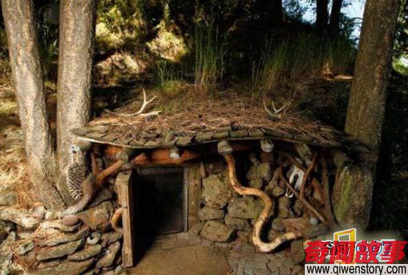 树下发现“矮人巢穴”，进去一看惊呆了！