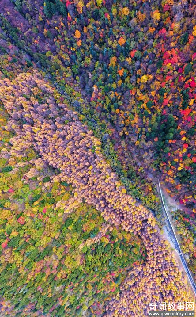 绝不能错过的秋色 10月四川最佳旅行地图出炉！
