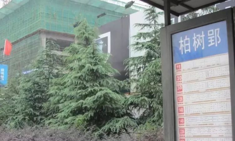 合肥为什么那么多“郢”？答案就在这！