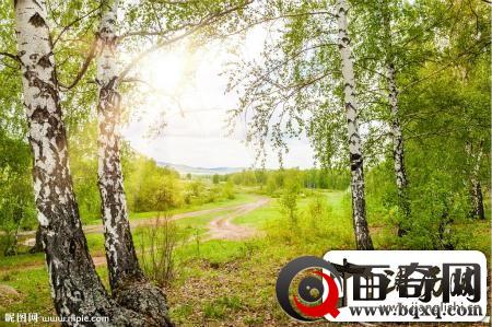 古人将春雅称为“青春” 意指春天草木茂盛一派青葱