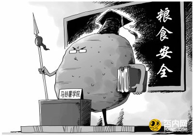 云南建马铃薯学院 网友：红薯芋头怎么想？