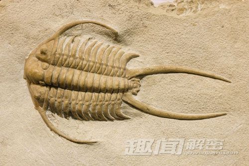 “文明”之谜：无法解释的“地球制造”