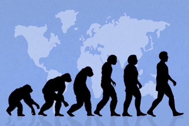 人类的生殖隔离到底有多可怕？