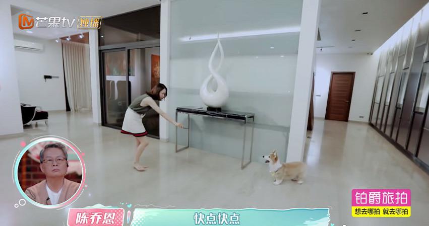 恭喜！合约情侣成婚，停工一年怀孕了！