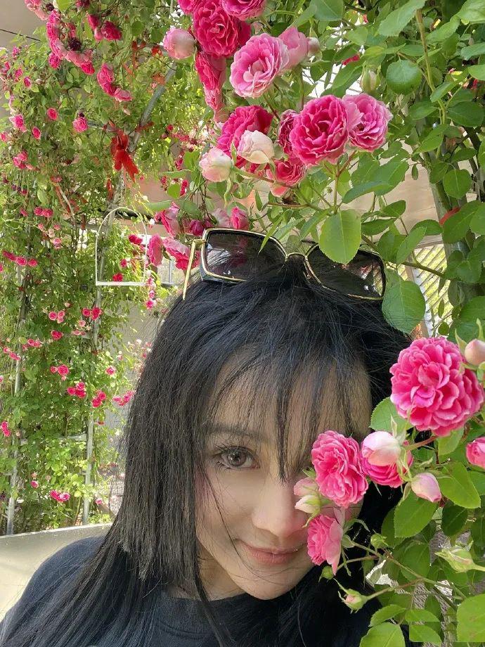 上海明星的别墅：邹市明家院子似公园，陈赫女儿房间上百平