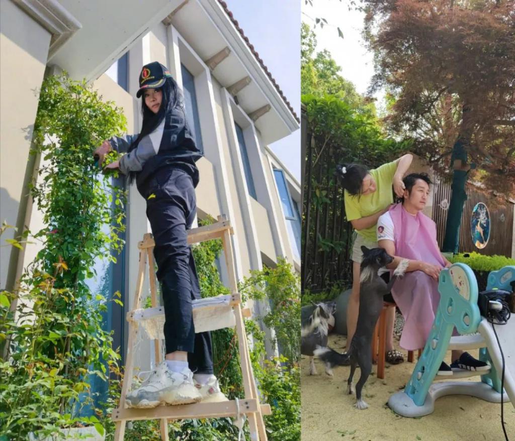 上海明星的别墅：邹市明家院子似公园，陈赫女儿房间上百平