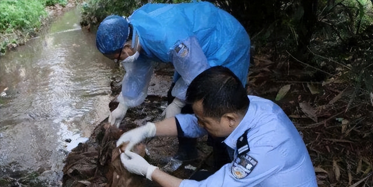 女主持佟瑶：酒后内急，在江边“小解”，不幸落水身亡，令人惋惜