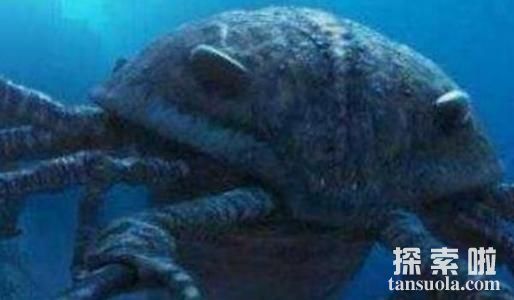 海底9万米有多恐怖，生物极限的海洋深度是多少