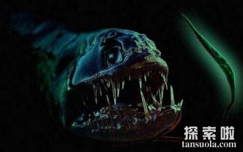 海底9万米有多恐怖，生物极限的海洋深度是多少
