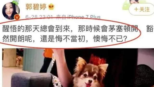 向佐，婚内出轨风波不停歇
