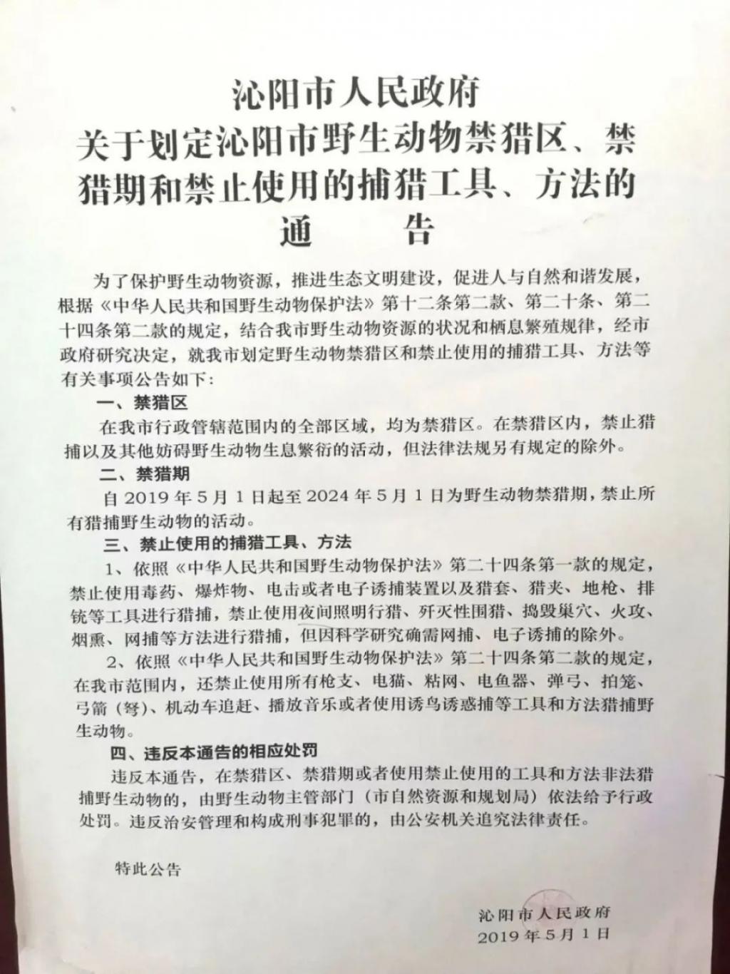 男子深夜抓了115只壁虎！没想到自己也被抓了……