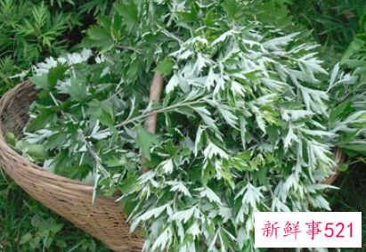 艾叶对女人的好处