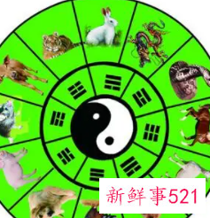 十二生肖最佳配对有哪些
