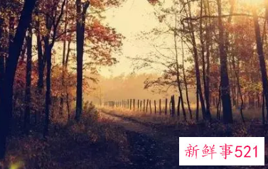 表达缘分已尽的句子