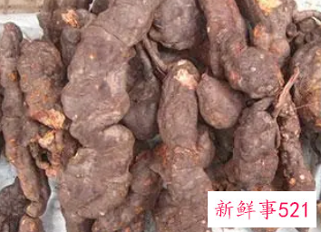 女人肾不好吃什么药最好调理