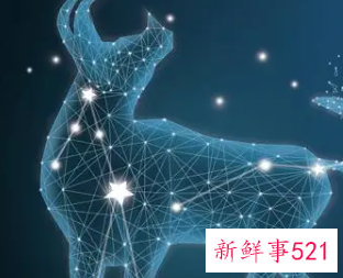 金牛座做事拖拉