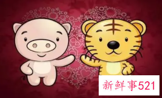 属虎和属猪的结合好不好
