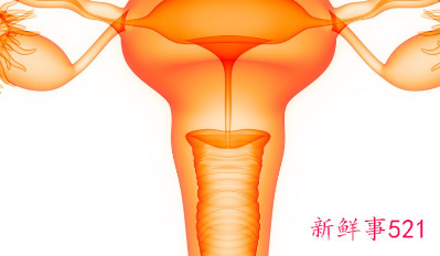 卵巢有哪些作用