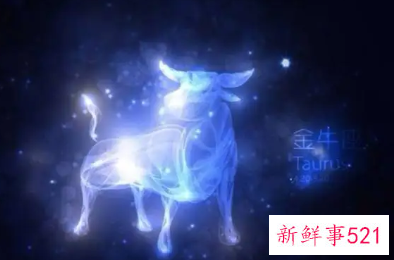 金牛座配什么座才是完美结合