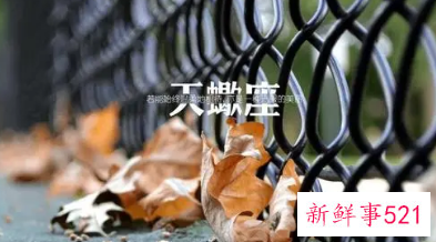 天蝎座女人的十大特点