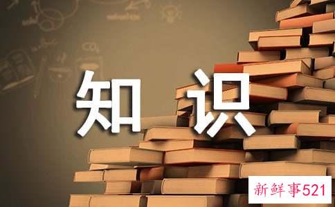 职场女士在酒桌上的礼仪知识