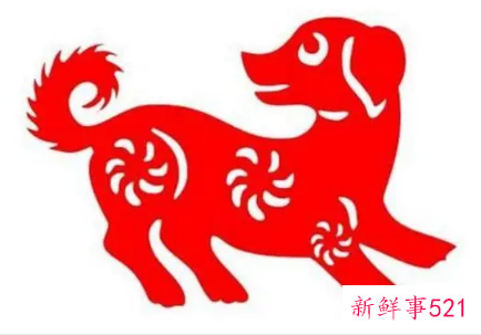 58年属狗2022年运势及运程